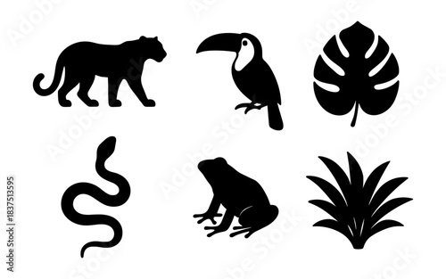 Jungle animals and plants silhouettes in black and white on a white background