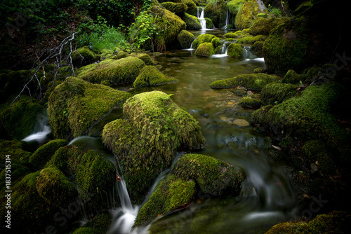 Moss-Covered Rocks and Stream in Argovejo beech Forest, León, Castilla y Leon, Spain