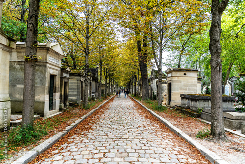 Glimpse of tree-lined avenue with cobblestones in the monumental Cemetery of Pere Lachaise, largest cemetery in Paris, France, where many famous artists are buried.