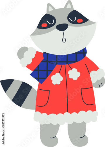 Winter raccoon in coat