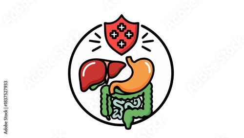 vector illustration of an apple