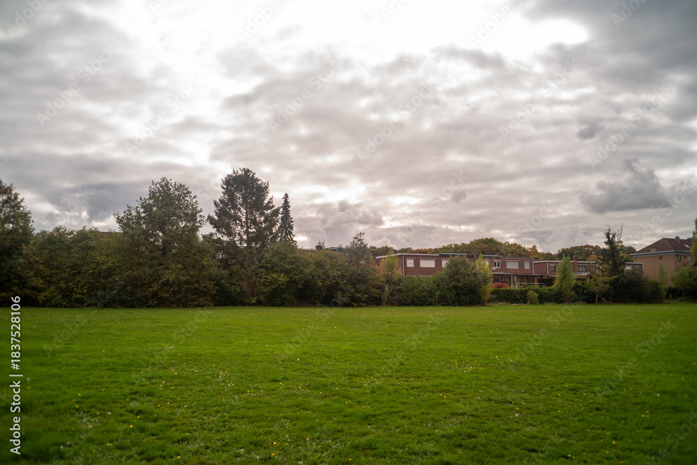 Fototapeta premium landscape of a field in the city with trees on background