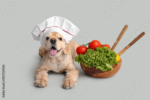 Cute dog in chef's hat with...