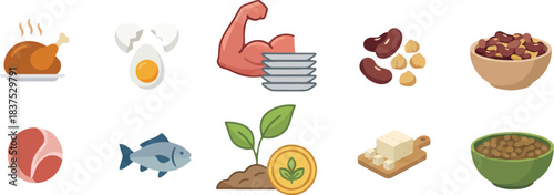 Flat vector set illustrating healthy protein food sources like eggs, meat, fish, and legumes.
