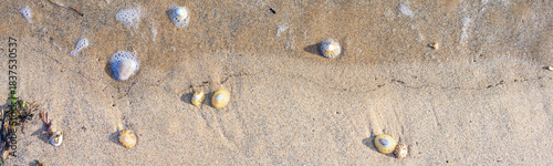 Saltwater flowing up sandy beach with limpet shells and small rock pebbles, as a nature background
