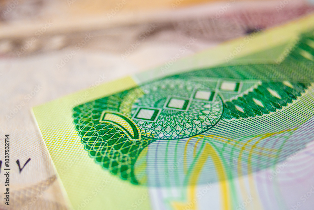 Fototapeta premium This macro-shot captures a green 10,000 Iraqi Dinar note, featuring detailed Arabic calligraphy and the Al-Hadba Minaret. Intricate geometric security patterns are visible.