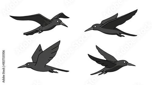 Four Different Flying Poses Of A Black Bird Illustration