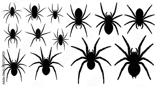 Collection of black spider silhouettes on a white background for various uses