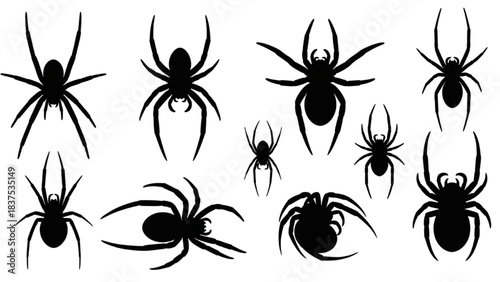 Diverse Collection of Spider Silhouettes Intricate Vector Designs for Creepy Halloween and Nature-Inspired Concepts