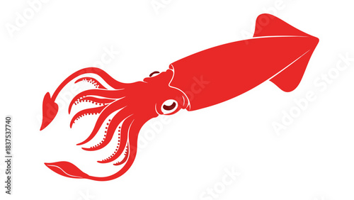 Red Squid Illustration on Black Background Minimalist Marine Life Nautical Theme Seafood Ingredient Graphic Design