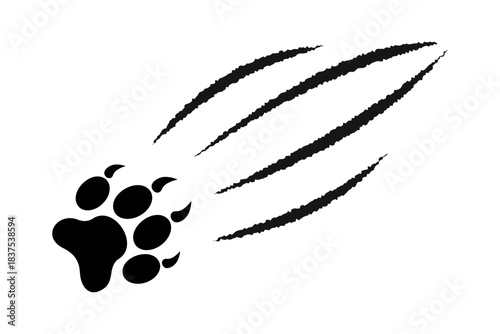Paw print with scratch claw marks. Wild animal talons trace isolated on white background. Skin scars from attack of tiger or lion, monster or werewolf. Scary torn track. Vector graphic illustration.