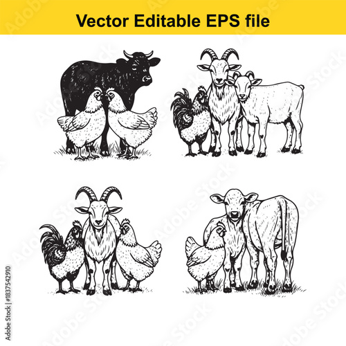  farm animals illustration isolated on white