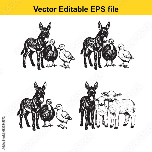  farm animals illustration donkeys, turkeys, ducks, and sheep isolated on white