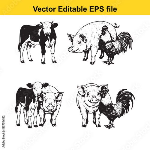  Cute farm animals, collection of calves and pigs with roosters, sketch illustration with varying poses and compositions