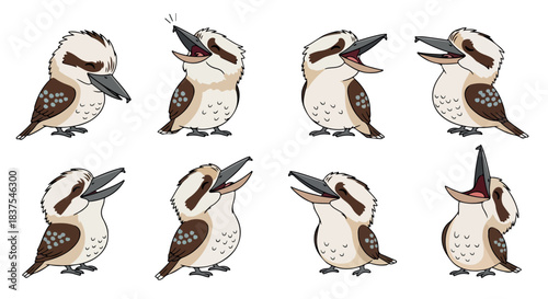 Kookaburra bird expressions set with transparent background