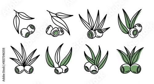 Olive branch and fruit icons with transparent background