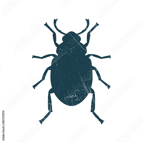 Beetle Bugs Insect Silhouette Illustration Vector Template