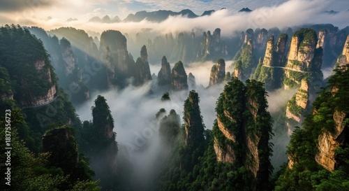 Breathtaking panorama of Zhangjiajie National Forest Park with towering sandstone pillars shrouded in morning mist and ethereal sunlight, a dramatic and mystical Chinese landscape.