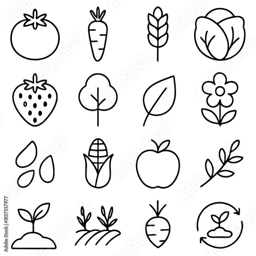 Gardening Delight: A collection of meticulously rendered illustrations showcases the diverse elements of gardening, from vibrant produce to the serene beauty of the plant life. 