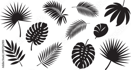 Black leaf silhouette icons featuring tropical, compound, and decorative foliage for botanical design