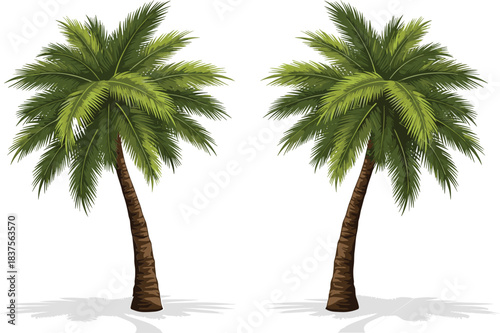 Two realistic tropical palm trees with lush green fronds and brown trunks casting shadows, perfect for summer, beach, and vacation travel designs.