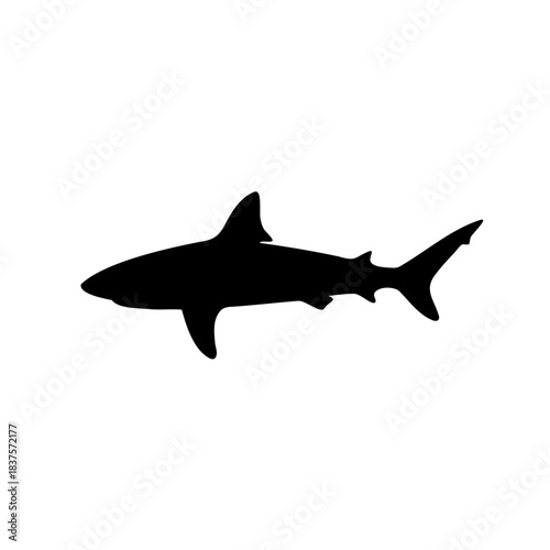 A captivating silhouette of a shark swimming gracefully through the vast ocean waters