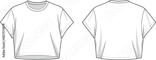 Cad drawing flat vector illustration, basic women’s crop t-shirt with rolled sleeves, front and back fashion technical sketch template