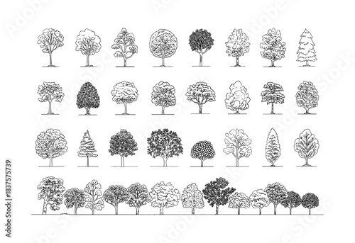 Minimal style cad tree line drawing, Side view, set of graphics trees elements outline symbol for architecture and landscape design drawing. Vector illustration. outdoor forest garden section