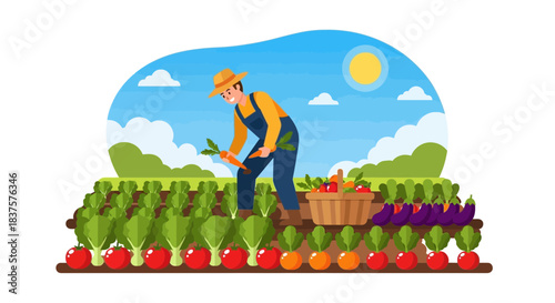 Cheerful farmer harvesting organic carrots in his vibrant vegetable garden under the sunny sky, tending to a bountiful crop of fresh produce today