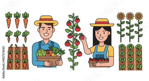 Happy farmers harvest fresh vegetables, a bright and cheerful harvest season with carrots, tomatoes, lettuce and sunflowers from their garden plot