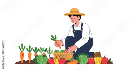 Harvest time illustration of a cheerful farmer gathering fresh organic vegetables in his garden for a healthy lifestyle, connecting with nature