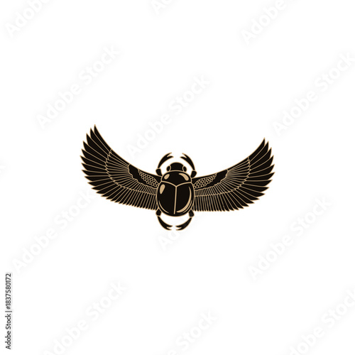 Winged scarab beetle isolated on transparent background