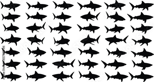 Huge collection of shark silhouettes, vector set of swimming marine predators, ocean fish icons, and dangerous sea animals isolated on white background.