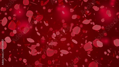 Falling Rose Petals on a Red Background. Perfect for Valentine's Day, Wedding Day, Love celebration
