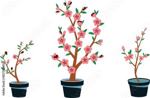 Potted flowering plant growth stages, cartoon botanical illustration set, pink flower development concept, garden decor clipart, nature design elements, cute plant drawing