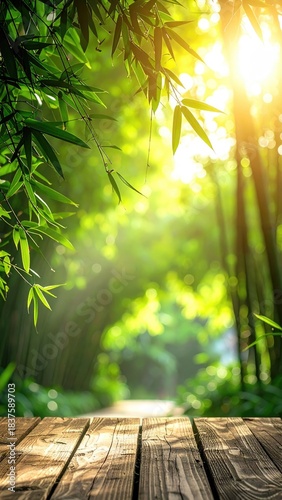 Bamboo forest, wooden floor, sunbeams