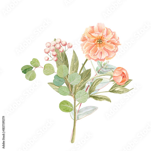 Peony with eucalyptus bouquet in soft peach tones watercolor illustration isolated on white. Hand-painted with high detail, perfect for wedding invitations, branding, packaging, fabric design cards
