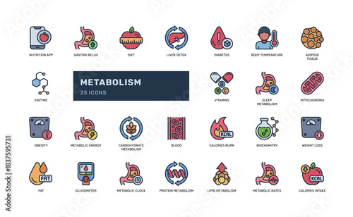 Metabolism color icon set for diet and health care usage