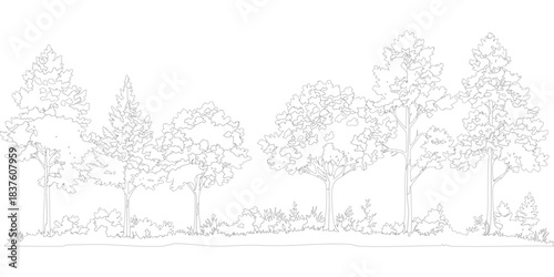 Line art drawing of forest trees and shrubs border isolated on white.
