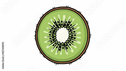 Slice of kiwi fruit with detailed texture and seeds.