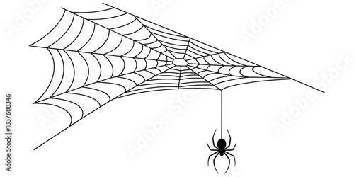 Black and white illustration of a spider hanging from a web, isolated on continuous one line art of vector illustration
