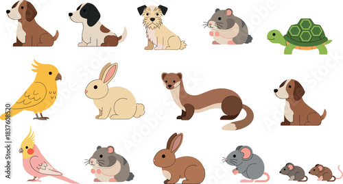 Cute Pet Animal Set with Dogs Rabbits Birds Hamsters Mice Ferret and Tortoise Cartoon Illustrations