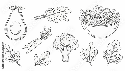 Hand Drawn Sketch of Fresh Healthy Vegetables and Salad Ingredients.