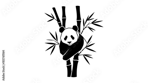 Panda bear climbing bamboo forest, black and white graphic illustration, isolated.