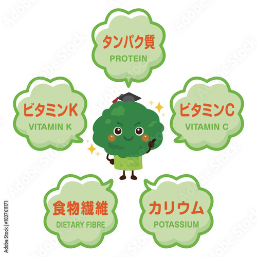 ブロッコリーのキャラクターとブロッコリーに含まれる成分イラスト／Cute Broccoli Character Illustration with Nutrients