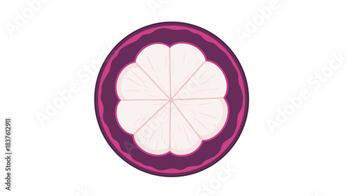 Cross Section of a Purple Mangosteen Fruit Showing White Segments and Dark Outer Skin Against a Black Background Detailed and Vibrant Tropical Fruit Illustration