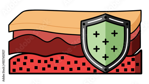 Cross section of skin layers protected by a shield icon with plus signs inside representing health and defense against external factors