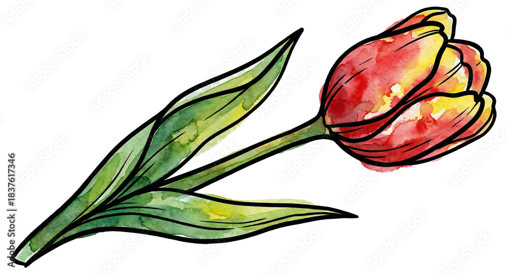 Obraz premium Winter Flower