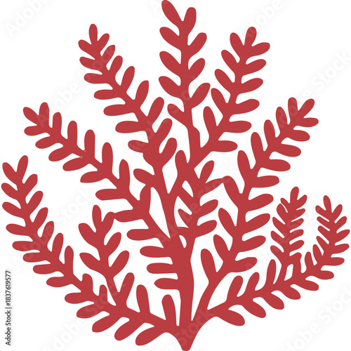 Red coral branch symmetrical pattern isolated on black background naturalistic illustration deep sea marine life underwater flora organism