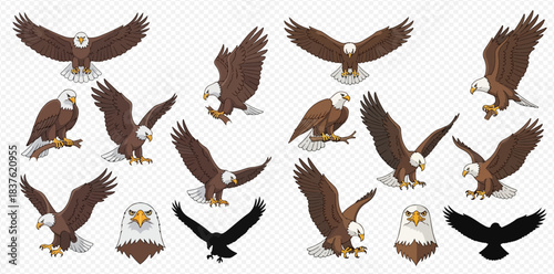 Collection of Bird of Prey Poses on Transparent Background 2dflat